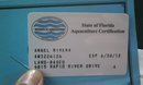 Cert. card.jpg