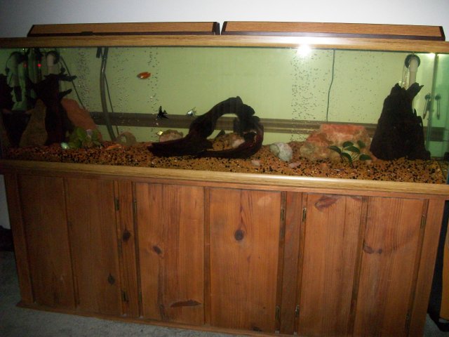 104_0730.JPG