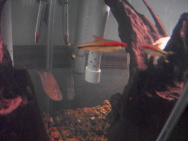 104_0720.JPG