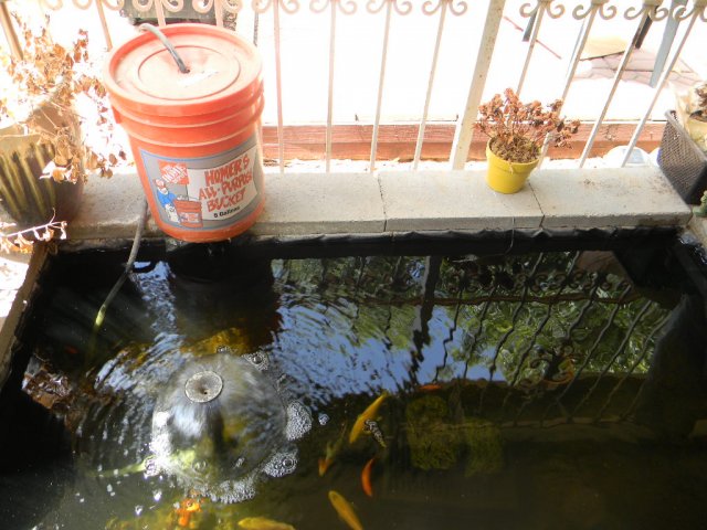 DSCN0383.JPG