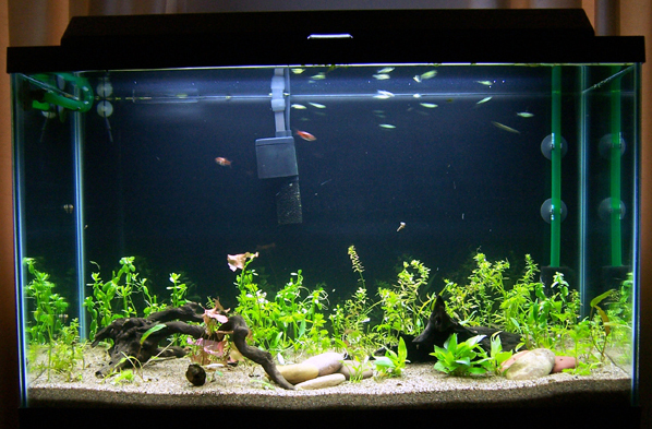 FTS_just planted.jpg