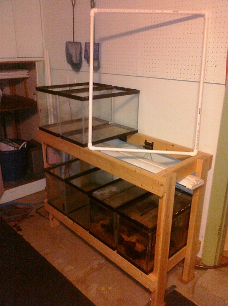 CIMG0068.jpg CIMG0068.jpg