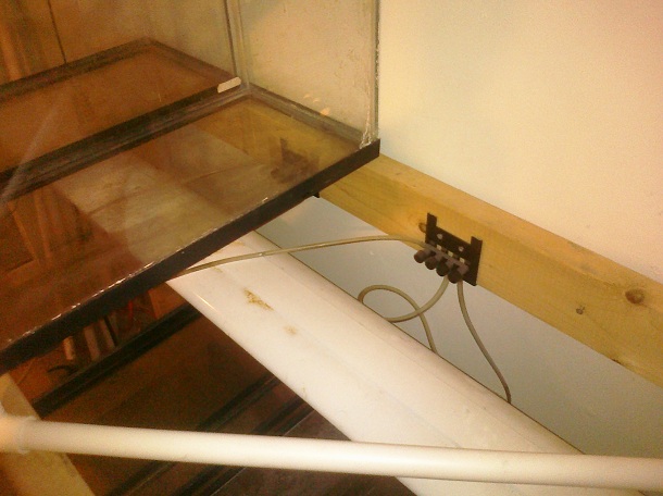 CIMG0069.jpg CIMG0069.jpg