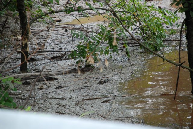 flooding sept 11 088.jpg