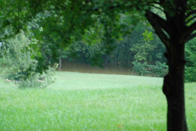 flooding sept 11 058.jpg