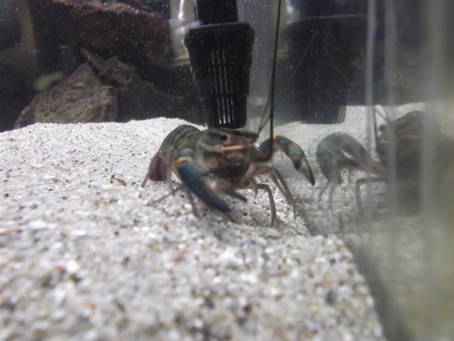 DSCF0186.JPG