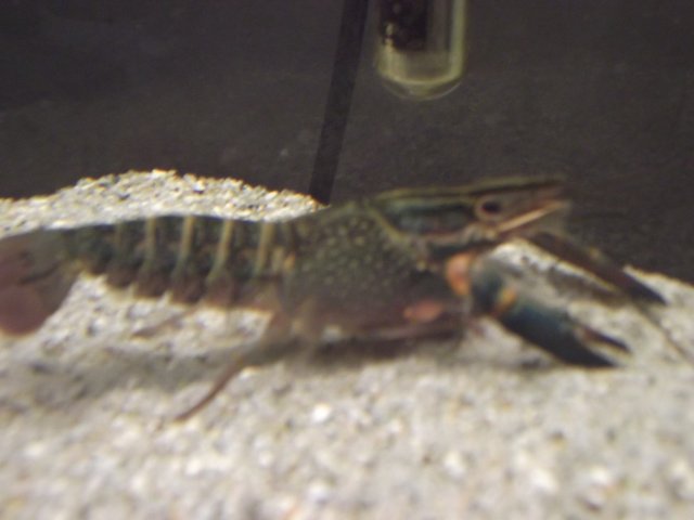 DSCF0181.JPG