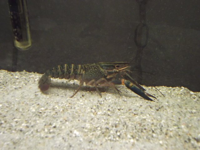 DSCF0182.JPG
