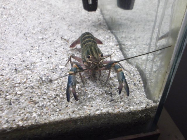 DSCF0185.JPG