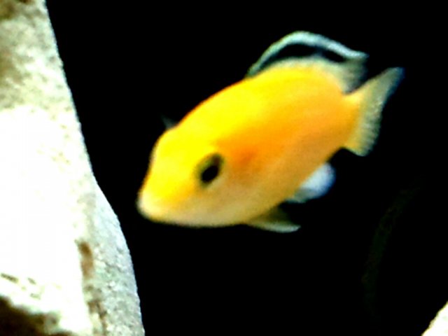 2011-08-29_07.43.19_edit0.jpg