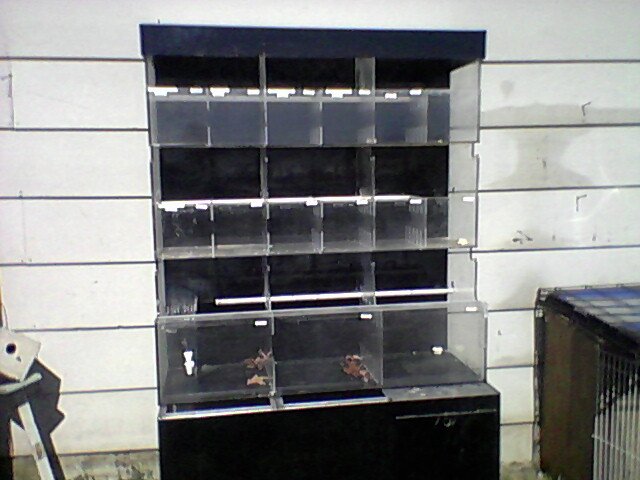 Photo-0015.jpg