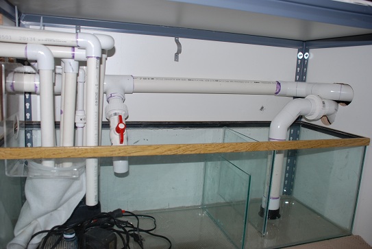 sump1.jpg