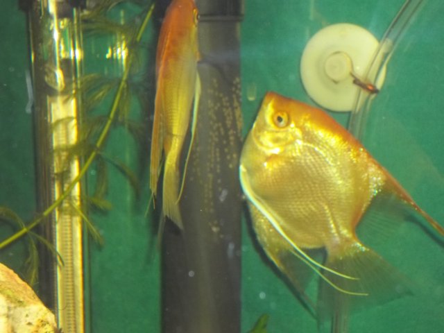 100_0844.JPG