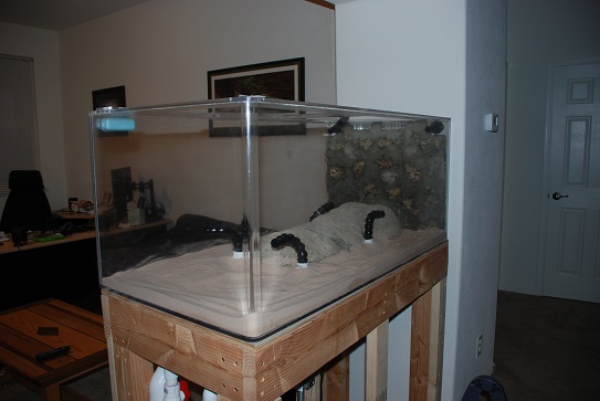 DSC_5095.jpg