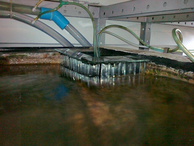 25092011052.jpg
