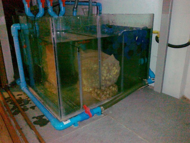 25092011058.jpg