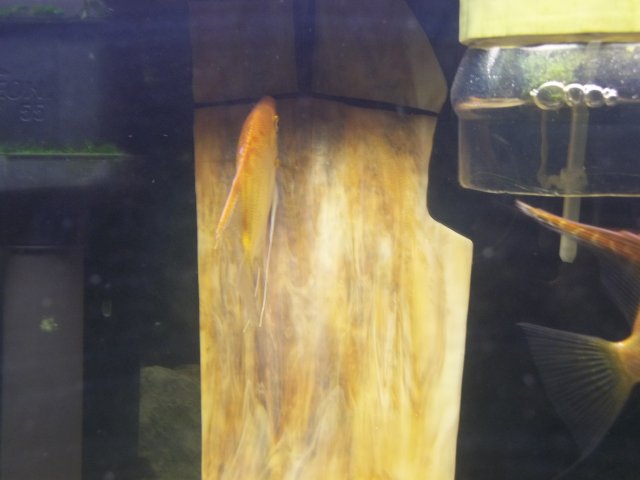 On colored glass.JPG