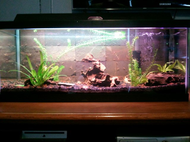 2011-07-13183819.jpg 2011-07-13183819.jpg