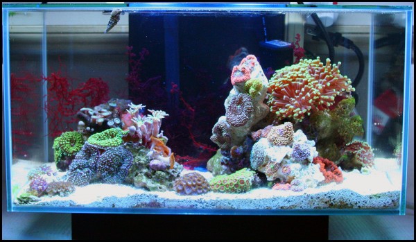 fts2-600x349.jpg fts2-600x349.jpg