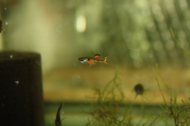 IMG_5762.jpg
