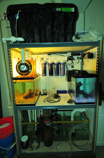 equipcabinetrunning.JPG equipcabinetrunning.JPG