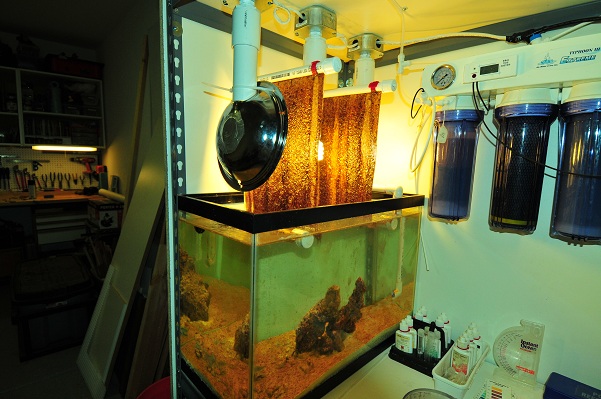 refugium1.JPG refugium1.JPG
