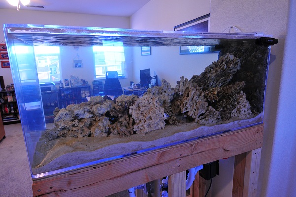 tank1full.JPG tank1full.JPG