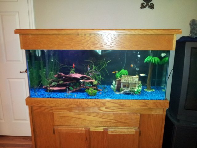 Newtank.jpg