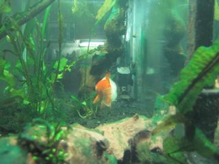 IMG_1238.jpg