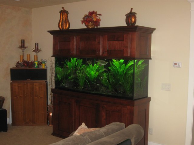 150 Gallon 2011 154.JPG