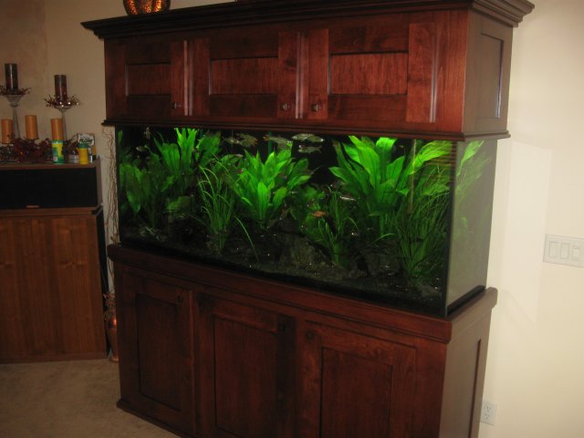 150 Gallon 2011 161.JPG