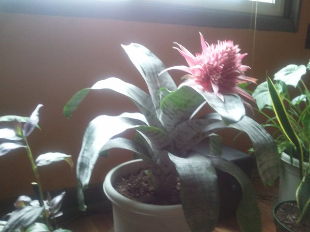 2011-10-22 11.57.28.jpg