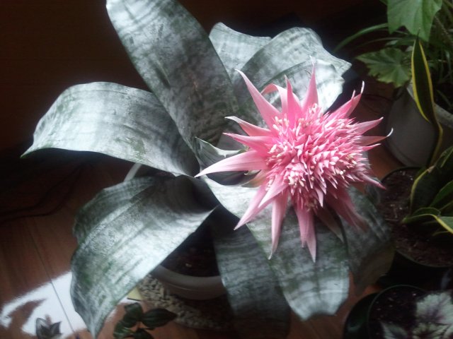 2011-10-22 11.57.21.jpg