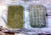 Freeze Dried on Marble.jpg Freeze Dried on Marble.jpg