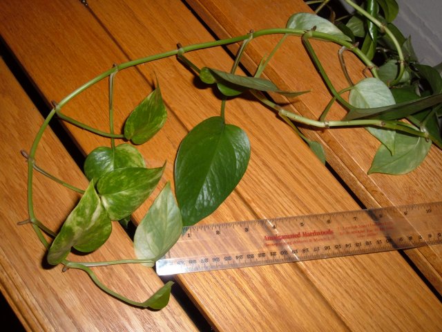 DSCF1943.JPG