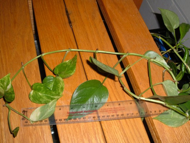 DSCF1945.JPG