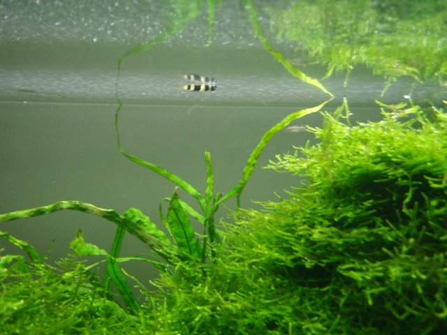 P8060783.JPG P8060783.JPG