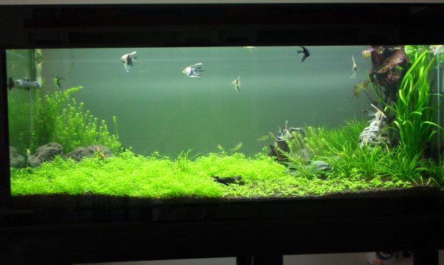 P8060759.jpg P8060759.jpg