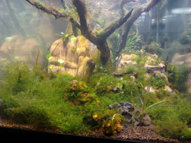 IMG_20111027_201555.jpg IMG_20111027_201555.jpg