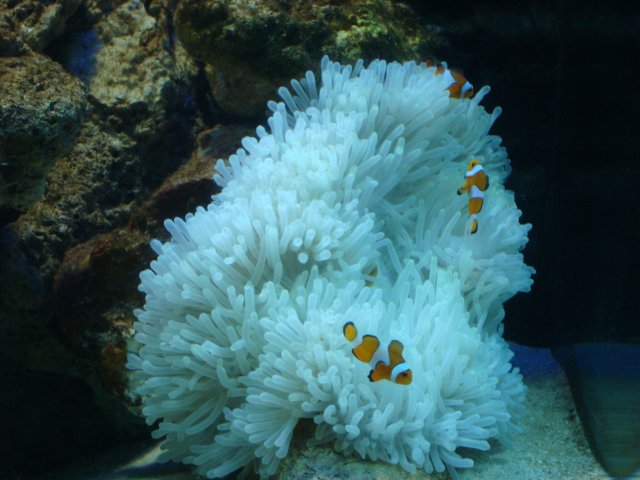 DSC02072.JPG