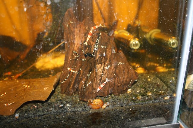 11-1-11 228.JPG