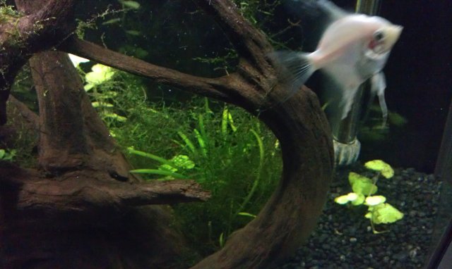 IMAG0058.jpg