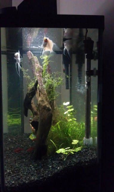IMAG0056.jpg