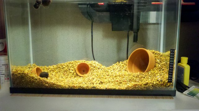 2011-11-08_23-34-51_73.jpg