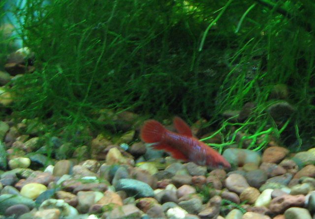 IMG_3334.JPG
