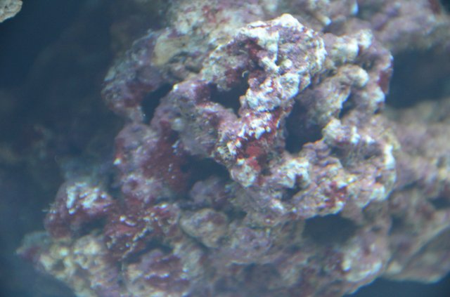 DSC_0809.JPG