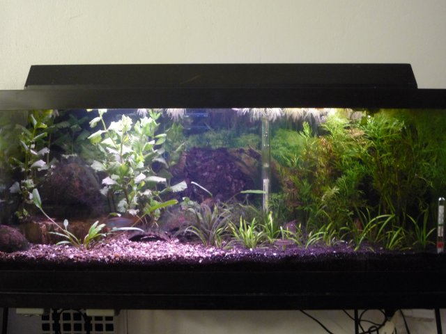 P1050585.JPG