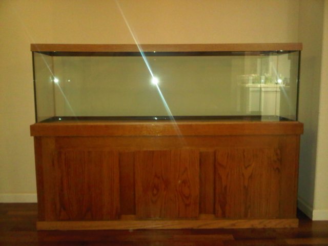 IMG00358-20111119-2109.jpg
