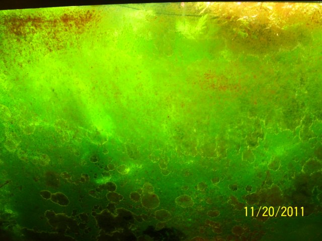 100_1811.JPG