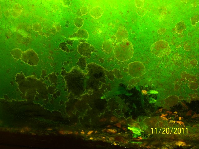 100_1808.JPG